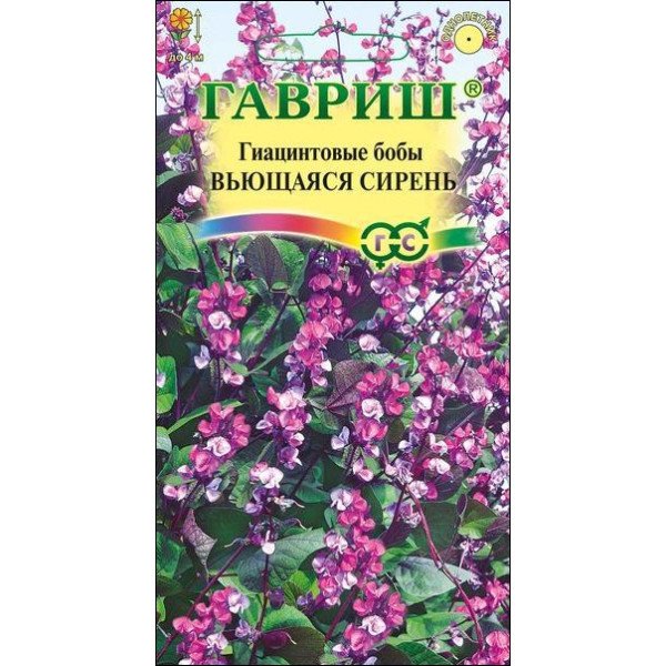 Гиацинтовые бобы Вьющаяся сирень /4 семечка/ *Гавриш*