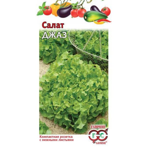 Семена салата Джаз /0,5 г/ *Гавриш*