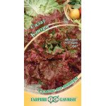 Салат Кантри /0,5 г/ *Гавриш*