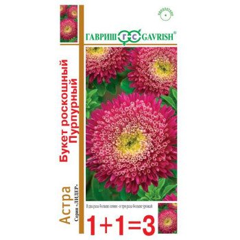 Астра Букет Роскошный пурпурный /0,5г/ *Гавриш*