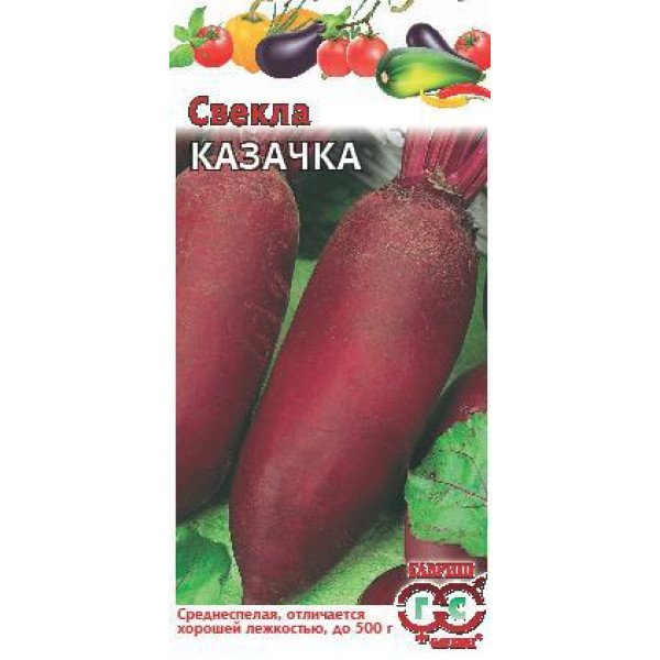 Семена свеклы Казачка /3 г/ *Гавриш*