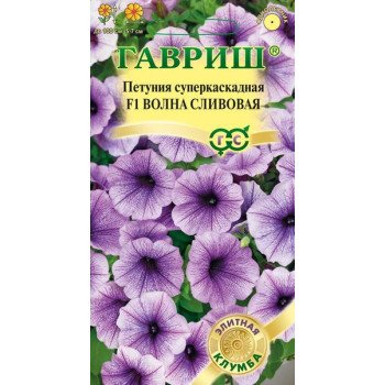 Петунія Хвиля F1 сливова /5 насінин/ *Гавриш*