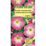 Петуния Нуволари F1 рассвет /5 семян/ *Гавриш*
