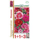 Гвоздика китайська махрова суміш /0,6 г/ *Гавриш*