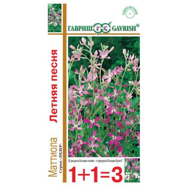 Насіння матіоли дворогої Літня пісня /1,0г/ *Гавриш*