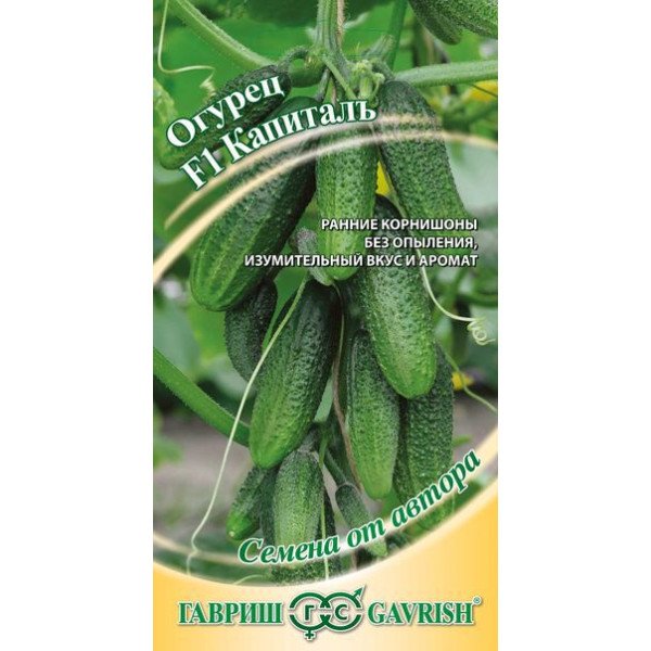 Семена огурца Капиталъ F1 /10 семян/ *Гавриш*