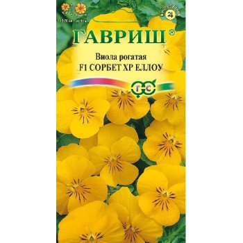 Виола Сорбет XP F1 еллоу /5 семян/ *Гавриш*