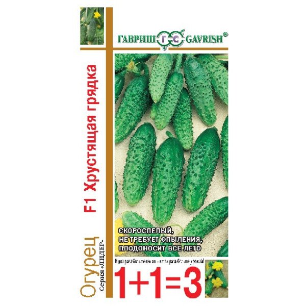 Насіння огірка Хрумка грядка F1 /20 насінин/ *Гавриш*