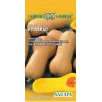 Гарбуз Атлас F1 /5 насінин/ *Гавриш*