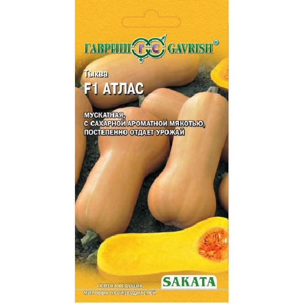 Семена тыквы Атлас F1 /5 семян/ *Гавриш*