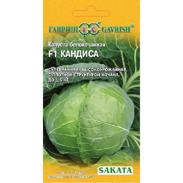Насіння капусти білоголової Кандиса F1 /20 насінин/ *Гавриш*