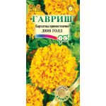 Чорнобривці Дюн Голд /10 насінин/ *Гавриш*