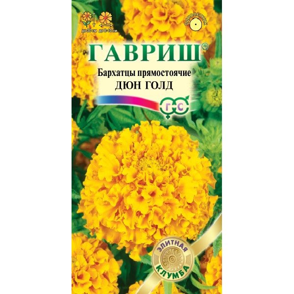 Насіння чорнобривців Дюн Голд /10 насінин/ *Гавриш*