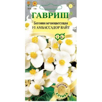 Бегония Амбассадор F1 вайт /4 семечка/ *Гавриш*