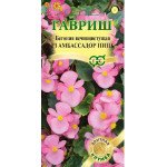 Бегония Амбассадор F1 пинк /4 семечка/ *Гавриш*
