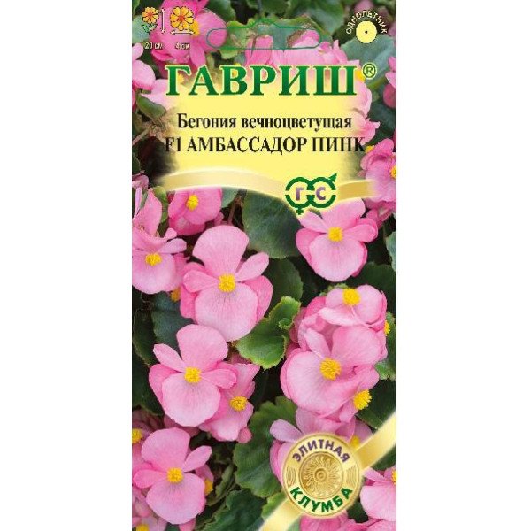 Семена бегония Амбассадор F1 пинк /4 семечка/ *Гавриш*
