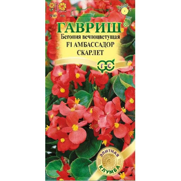 Насіння бегонія Амбасадор F1 скарлет /4 насінини/ *Гавриш*