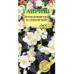 Бегония Сенатор F1 вайт /4 семечка/ *Гавриш*