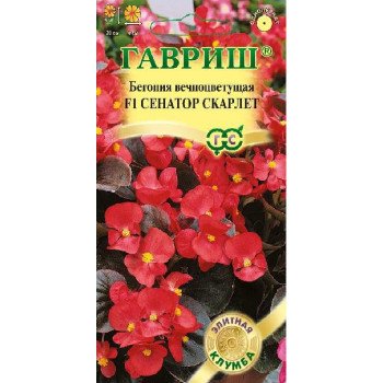 Бегонія Сенатор F1 скарлет /4 насінини/ *Гавриш*
