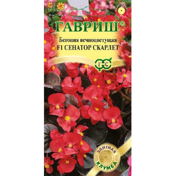 Семена бегония Сенатор F1 скарлет /4 семечка/ *Гавриш*