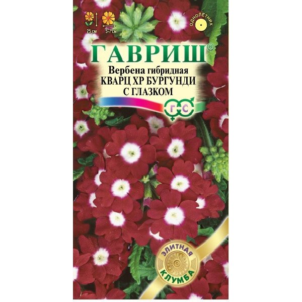 Семена вербены Кварц XP Бургунди с глазком /5 семян/ *Гавриш*