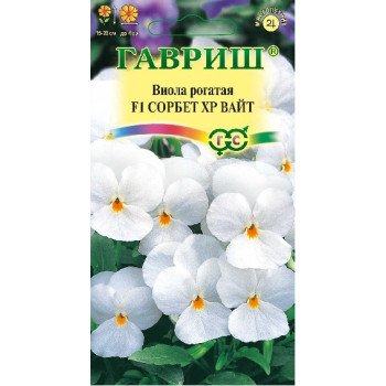 Виола Сорбет XP F1 вайт /5 семян/ *Гавриш*