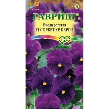 Виола Сорбет XP F1 парпл /5 семян/ *Гавриш*