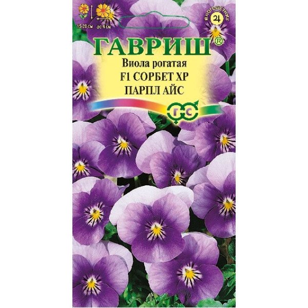 Насіння віоли Сорбет XP F1 парпл айс /5 насінин/ *Гавриш*