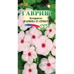 Катарантус Пацифіка апрікот /7 насінин/ *Гавриш*