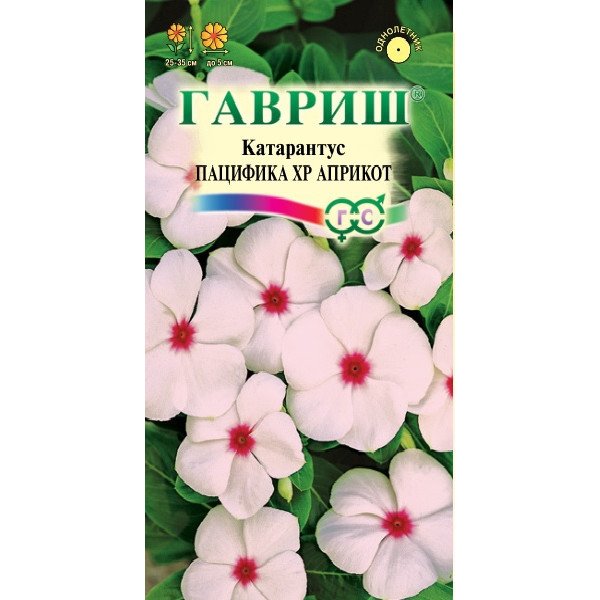 Катарантус Пацифіка апрікот /7 насінин/ *Гавриш*