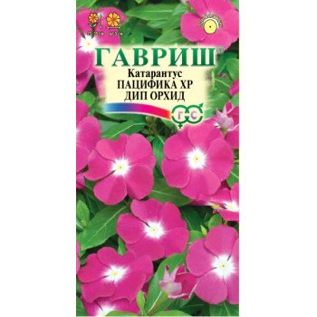 Катарантус Пацифика дип орхид /7 семян/ *Гавриш*