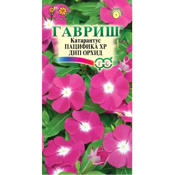 Насіння катарантуса Пацифіка дип орхід /7 насінин/ *Гавриш*
