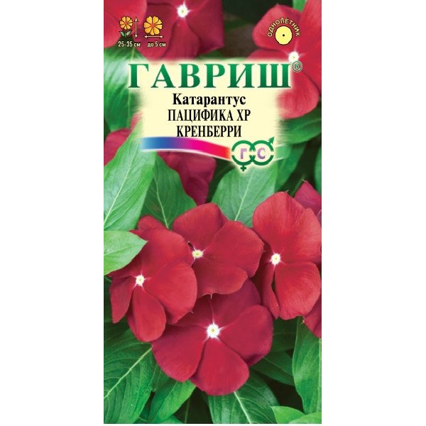 Катарантус Пацифика кренберри /7 семян/ *Гавриш*
