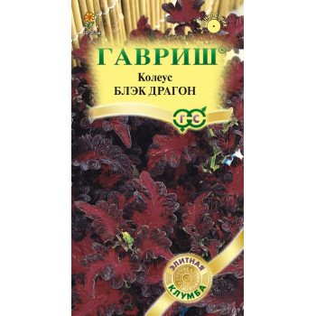 Колеус Блэк Драгон /5 семян/ *Гавриш*