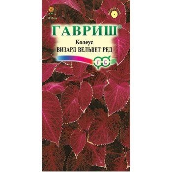 Колеус Визард Вельвет ред /5 семян/ *Гавриш*