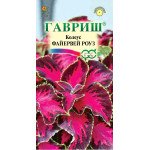 Колеус Файервей Роуз /5 семян/ *Гавриш*