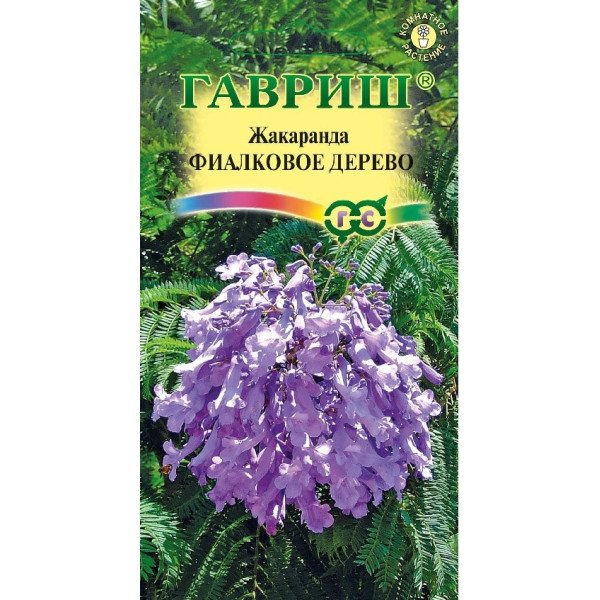 Семена жакаранды Фиалковое дерево /3 семечка/ *Гавриш*