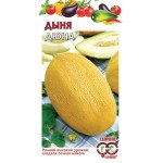 Дыня Дюна /5 семян/ *Гавриш*