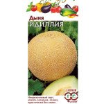 Дыня Идиллия /5 семян/ *Гавриш*