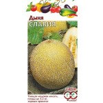 Дыня Славия /5 семян/ *Гавриш*