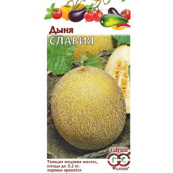 Дыня Славия /5 семян/ *Гавриш*