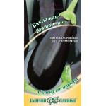 Баклажан Південна ніч /0,3 г/ *Гавриш*