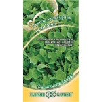 Рукола Сан Ремо /1 г/ *Гавриш*