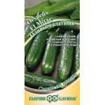 Огірок Месьє Олів'є F1 /10 насінин/ *Гавриш*