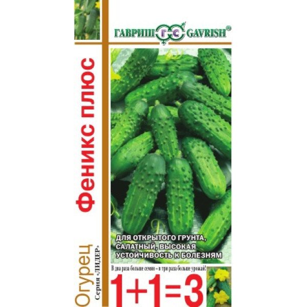Насіння огірка Фенікс плюс /1 г/ *Гавриш*