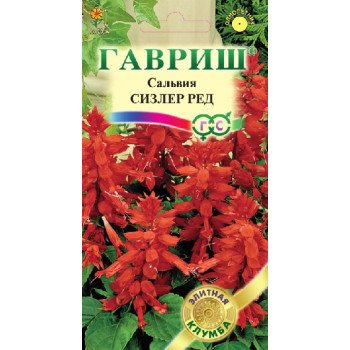 Сальвія Сізлер Ред /5 насінин/ *Гавриш*