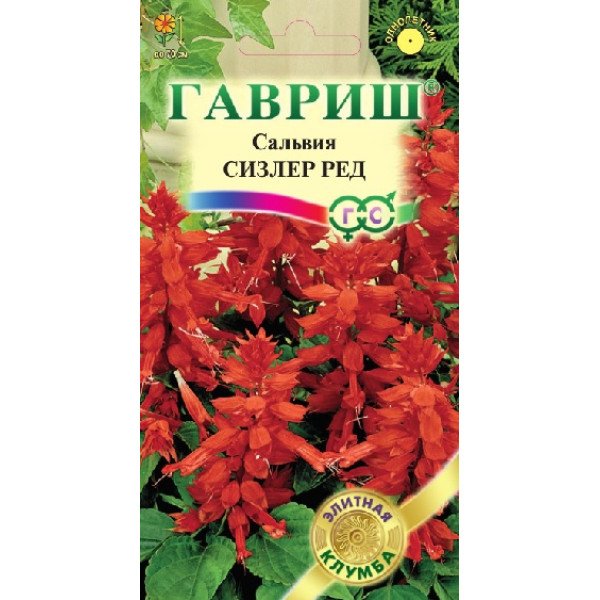 Насіння сальвії Сізлер Ред /5 насінин/ *Гавриш*