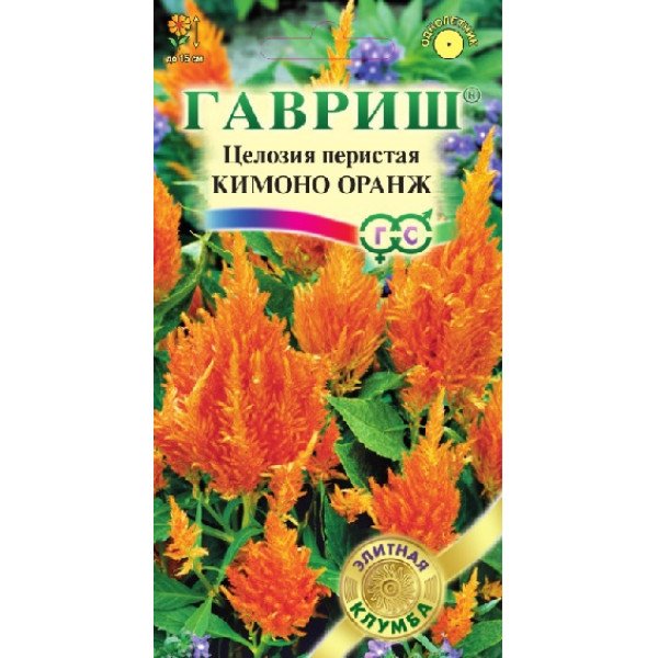 Насіння целозії перистої Кімоно оранж /10 насінин/ *Гавриш*