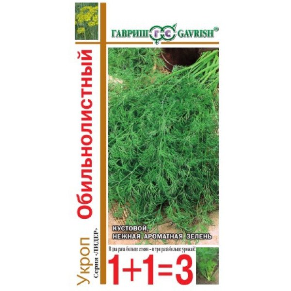 Насіння кропу Ряснолистий /6 г/ *Гавриш*