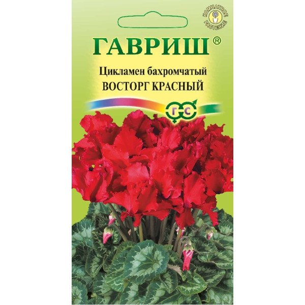 Семена цикламена махрового Восторг красный /3 семечка/ *Гавриш*